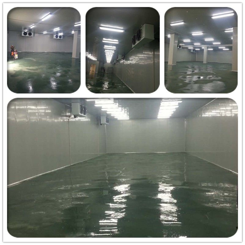 1545979545461648.jpg 未命名_副本.jpg