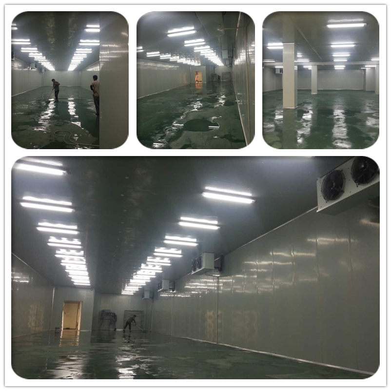 1545979590704822.jpg 未命名_副本.jpg