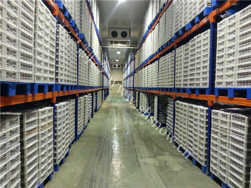 醫(yī)藥冷庫(kù)在醫(yī)藥冷鏈中的重要性