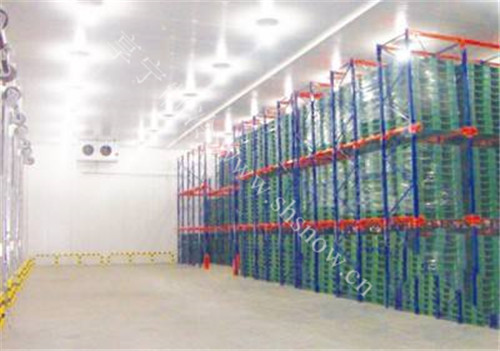 果蔬氣調(diào)冷庫特點及入門指導？