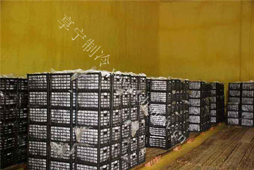 適合使用氣調(diào)冷庫貯藏的水果有哪些？