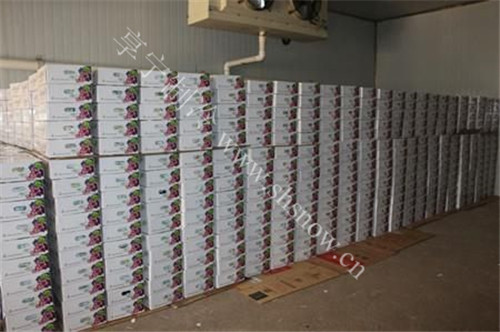 為什么氣調(diào)冷庫造價高