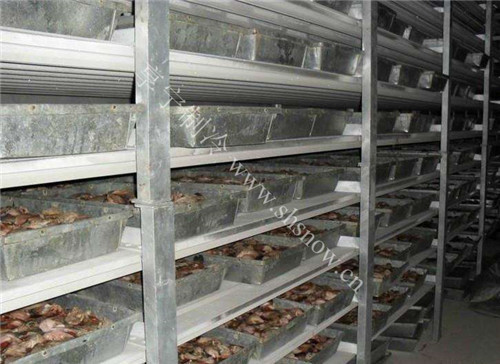 常見生鮮食品在冷庫中如何保存？