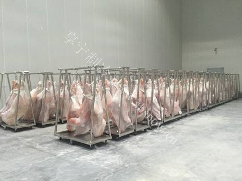 常見生鮮食品在冷庫中如何保存？