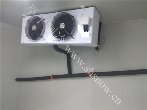 在農(nóng)村建造生鮮冷庫(kù)怎么掙錢？