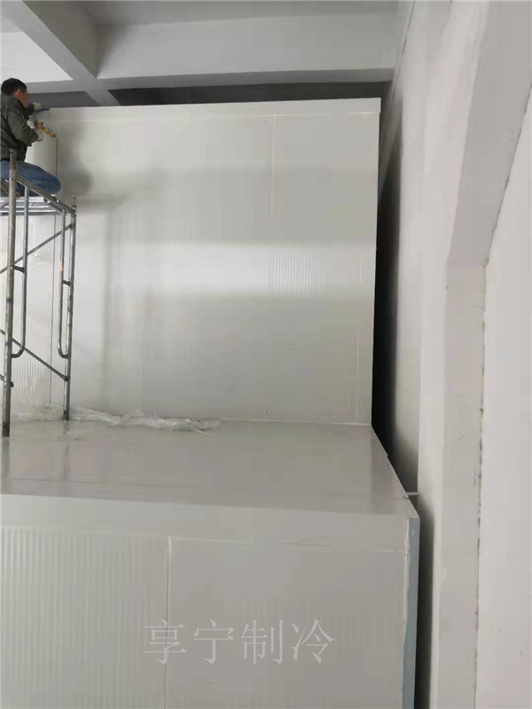 上海速冰奇貿(mào)易有限公司燒烤凍品批發(fā)鋁排冷凍庫項目