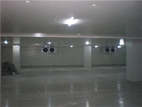 崇明縣保鮮冷庫(kù)工程