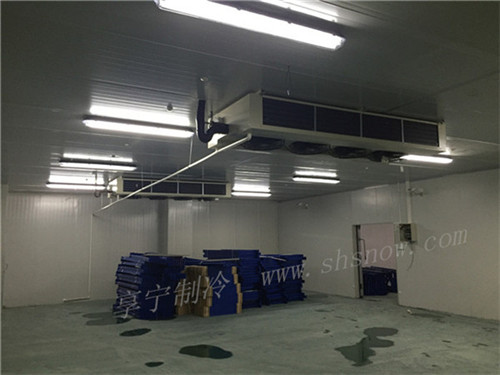 奉賢區(qū)保鮮冷庫工程