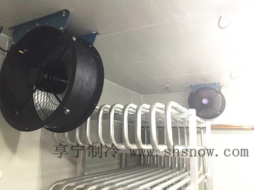 寶山區(qū)氣調(diào)冷庫工程 寶山區(qū)氣調(diào)冷庫工程