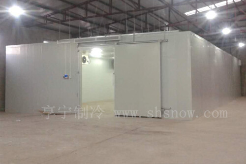 閔行區(qū)氣調(diào)冷庫工程