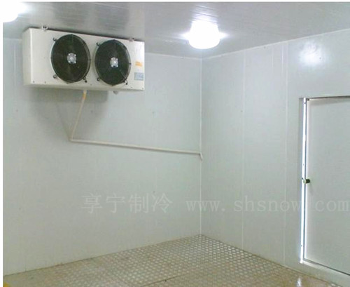 虹口區(qū)氣調(diào)冷庫(kù)工程