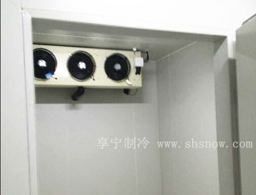 浦東新區(qū)氣調(diào)冷庫工程