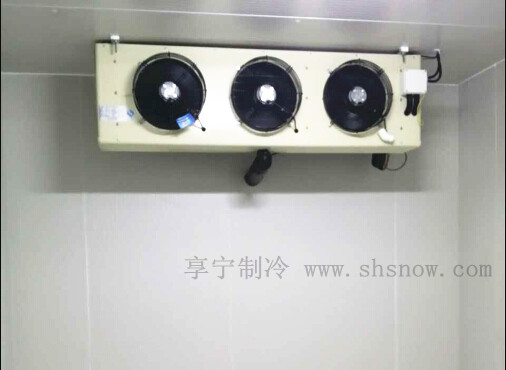 浦東新區(qū)氣調(diào)冷庫工程