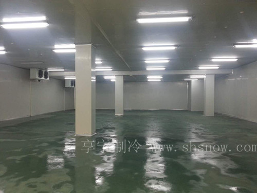 血清醫(yī)藥冷庫的建造要求