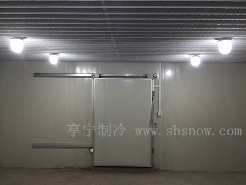 50平鮮花冷庫建造多少錢？