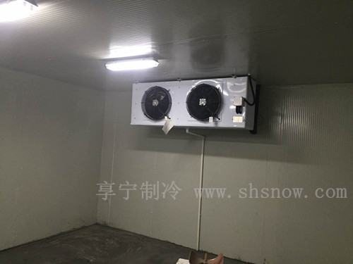 50平鮮花冷庫建造多少錢？