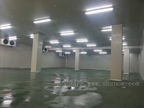 肉聯(lián)廠速凍冷庫(kù)安裝價(jià)格