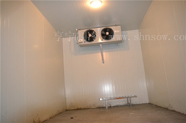 50平方的食用菌冷庫(kù)應(yīng)該達(dá)到多少度？