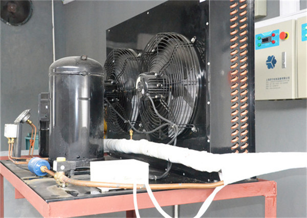 50平方的食用菌冷庫(kù)應(yīng)該達(dá)到多少度？