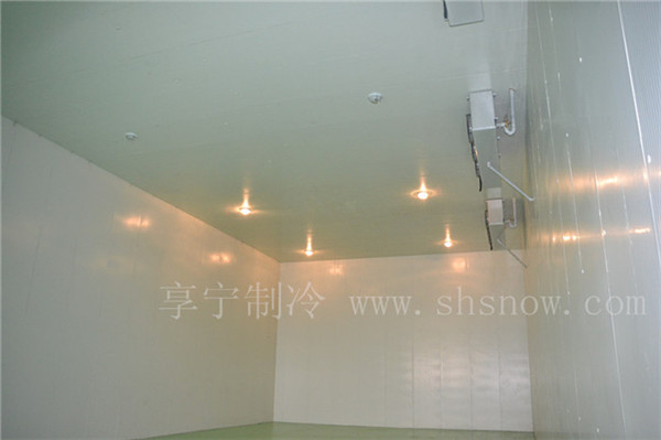 50平米的萵苣冷庫(kù)建造投資成本是多少