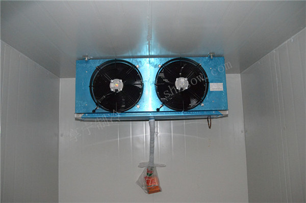 50平米的萵苣冷庫(kù)建造投資成本是多少