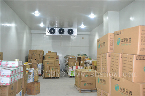 建一個60平方的蘋果冷庫需要多少錢？