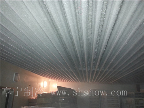 建造100平的海鮮冷庫需要多少預算？