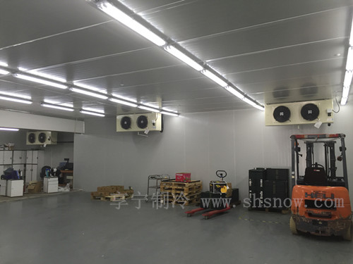 建造蘋果保鮮庫需要多少預(yù)算