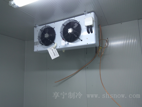 建造冷庫需要多少錢一平方 建造冷庫需要多少錢一平方