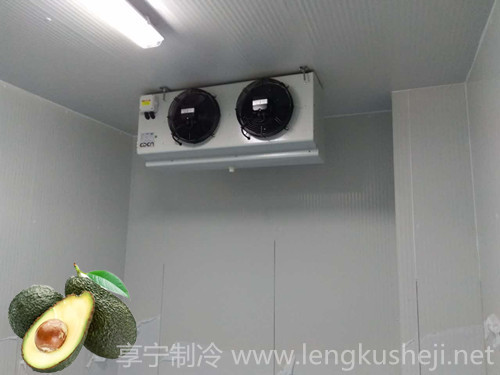 設(shè)計(jì)80平方茶葉冷庫(kù)需要多少錢？