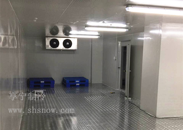 冷凍保鮮庫(kù)里面可以放那些東西？