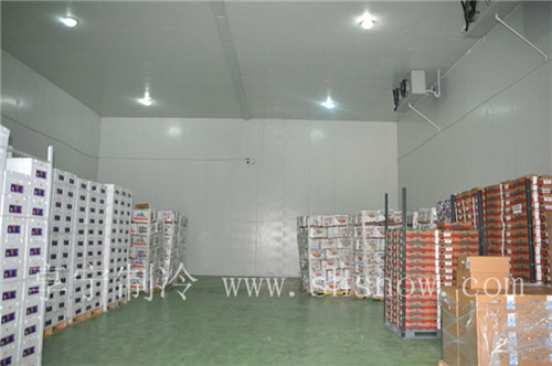 設(shè)計(jì)150平方超低溫冷庫(kù)多少錢才可以？