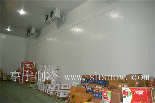 設(shè)計(jì)150平方超低溫冷庫(kù)多少錢才可以？