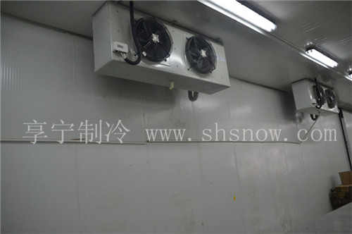 建造300平方的水產(chǎn)品冷庫可以做什么？