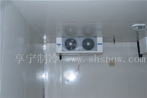 怎么建造小型冷庫(kù)最劃算？