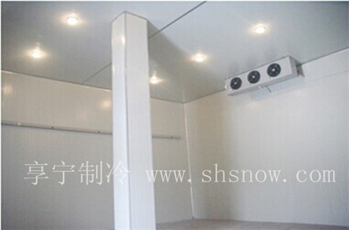 建造一個家用小型冷庫需要注意什么 建造一個家用小型冷庫需要注意什么