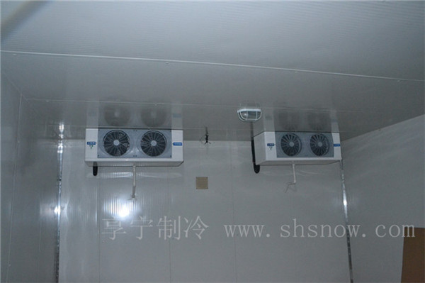 山楂用什么類型冷庫儲存最好？