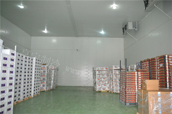 設(shè)計(jì)木瓜冷庫(kù)需要注意什么問(wèn)題