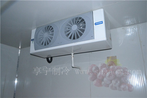 花菜怎么在冷庫中進行儲存 花菜怎么在冷庫中進行儲存