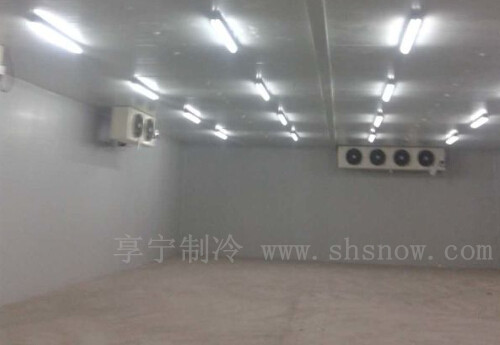 建造小型空心菜冷庫需要多少錢 建造小型空心菜冷庫需要多少錢