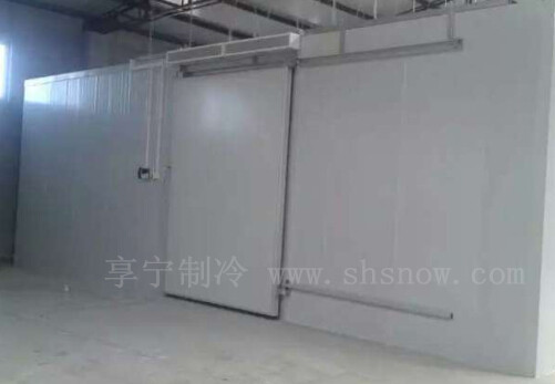 建造小型空心菜冷庫需要多少錢 建造小型空心菜冷庫需要多少錢