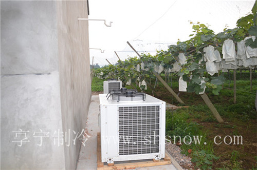 300平方金桔冷庫建造價格多少 300平方金桔冷庫建造價格多少