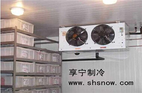 設(shè)計(jì)100平方土豆冷庫(kù)造價(jià)多少