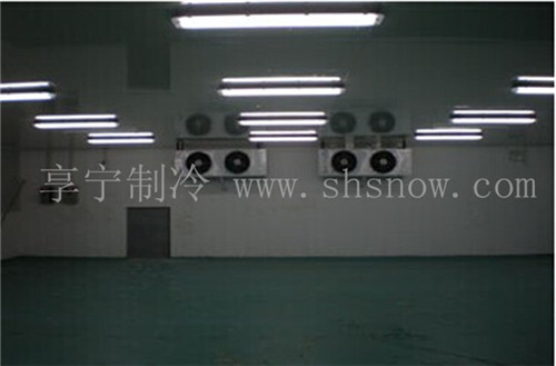 200平方雪梨冷庫需要多少錢？