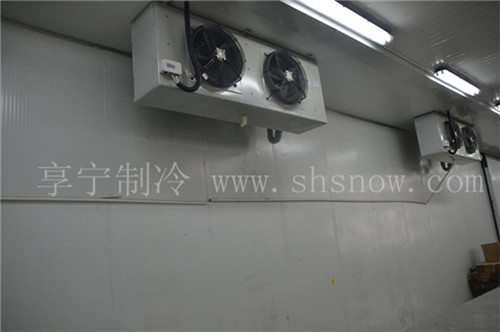 200平方雪梨冷庫需要多少錢？