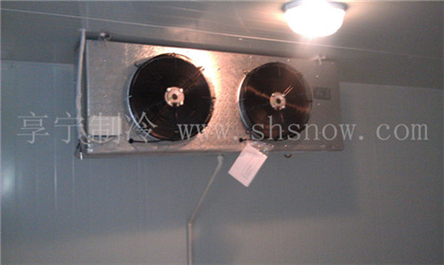 設(shè)計(jì)100平方火龍果冷庫(kù)造價(jià)多少