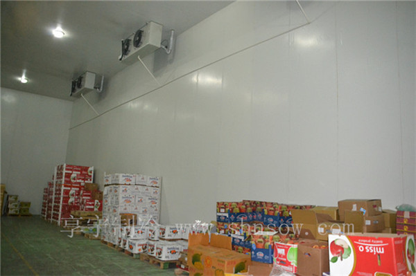 建造楊桃冷庫的優(yōu)勢有哪些 建造楊桃冷庫的優(yōu)勢有哪些