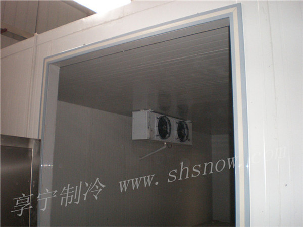 建造楊桃冷庫的優(yōu)勢有哪些 建造楊桃冷庫的優(yōu)勢有哪些