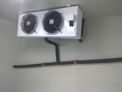 建造龍眼冷庫的優(yōu)勢有哪些 建造龍眼冷庫的優(yōu)勢有哪些