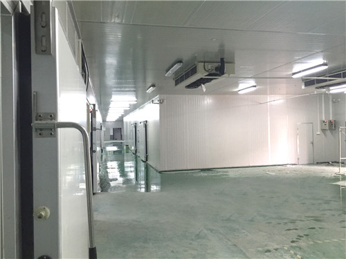 醫(yī)藥冷庫中的疫苗冷庫建造安裝有哪些要求呢？